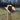 Saratelli 6x Pecan Brick Crown Cowboy Hat