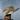 Pro Hats PH 76 Straw Rodeo Ready Hat