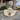 Pro Hats PH 76 Straw Rodeo Ready Hat