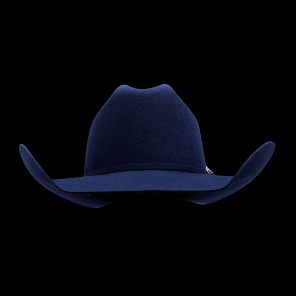 Pro Hats Rodeo Night Fort Worth Blue Wool Felt Hat β Nikki's Western ...