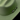 Pro Hats Rodeo Night Round Up Green Wool Felt Cowboy Hat