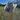 Seratelli Silver Belly Cowboy Hat