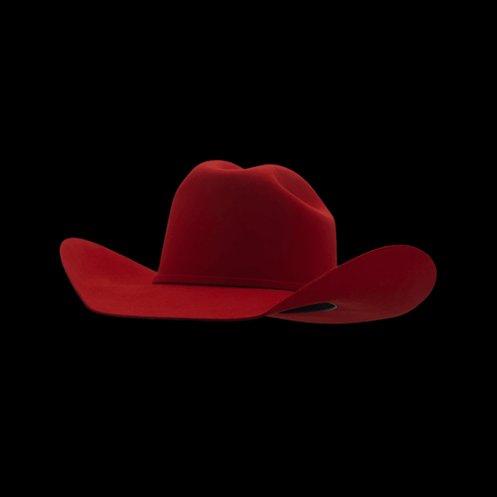 Women's & Men's Felt Cowboy Hats - Stampede Red Rodeo Night Wool Felt ...