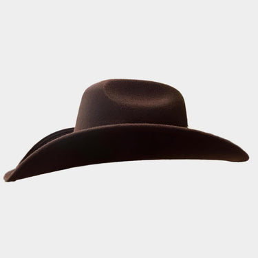 Brown Felt Cowboy Hat